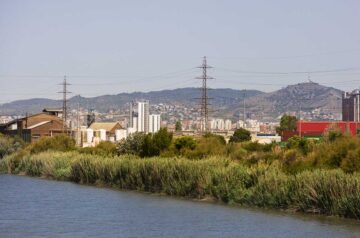 Manifesta 15 Will Be Held From September 8 To November 24, 2024 In Barcelona